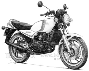 rd350lc300