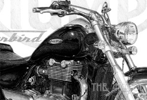 bikesthunderbird