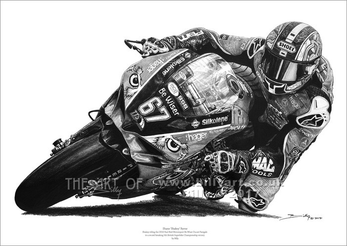 Shakey 2016 BSB 700